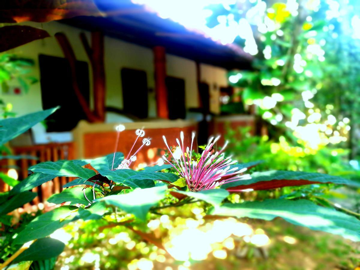 Sisira Homestay - Sigiriya Exterior photo
