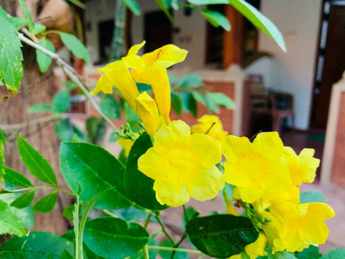 Sisira Homestay - Sigiriya Exterior photo